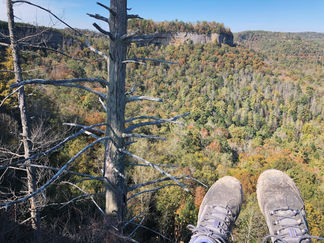 Get outside and explore: Some of my new favorite hikes