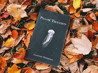 Chapter by Chapter: Pillow Thoughts