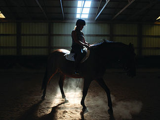 A New Kentucky Home: Lori Cooley And Her Animals Find Happiness At Her Farm