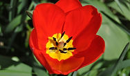 20150401 036.JPG