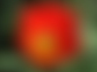 Fotózás kertszépítéssel karöltve...