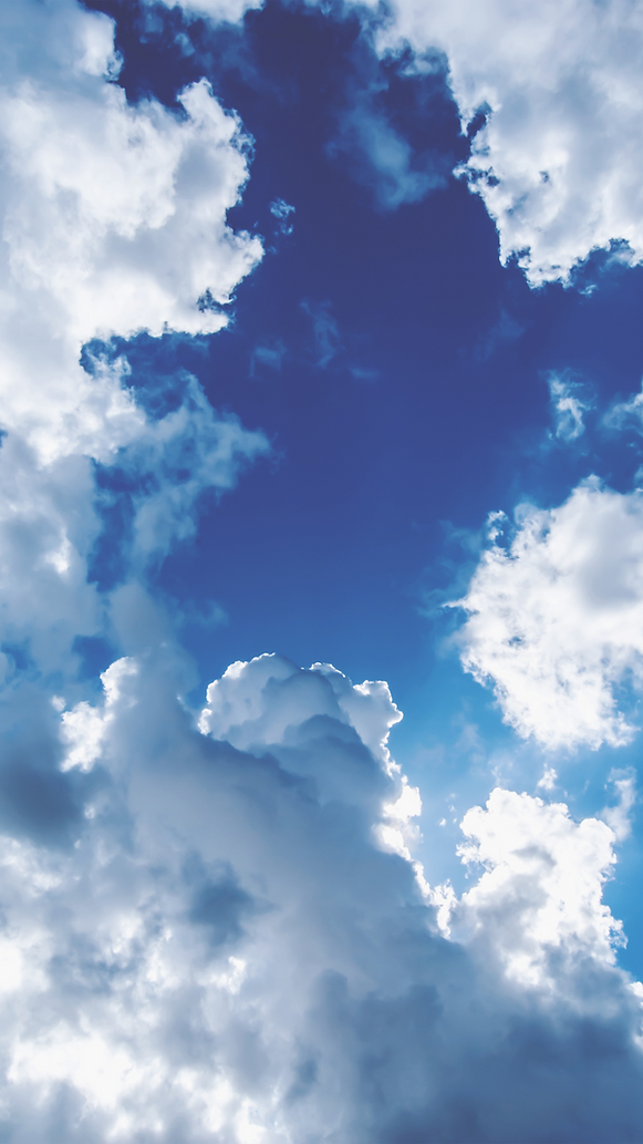 Untitled design (14).png