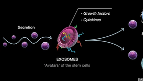 Exosome