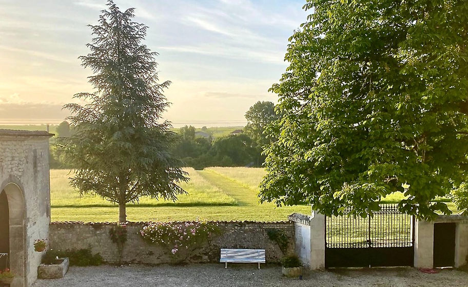 View of the grounds in front of Maison Le Mas
