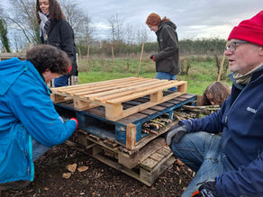 Volunteering Project