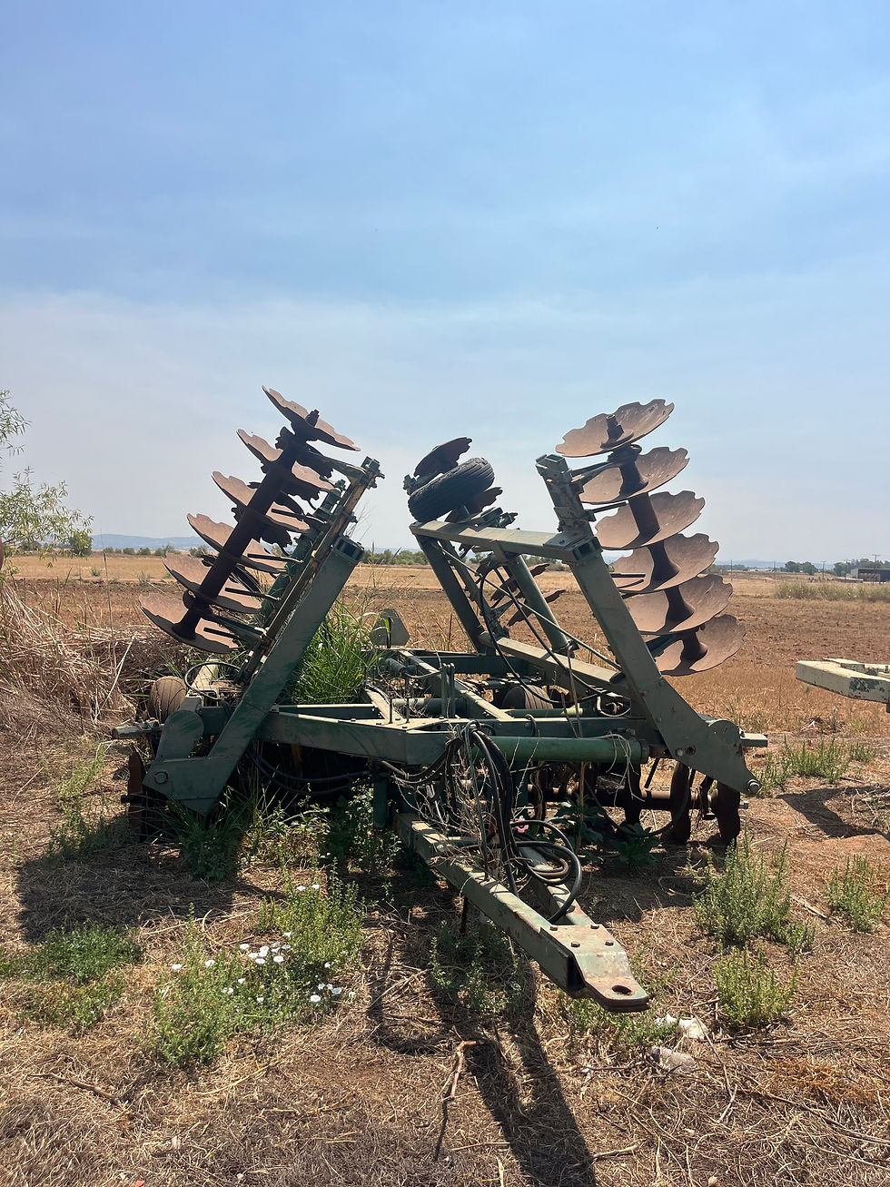 Thumbnail: John Deere Wing Disc Tandem