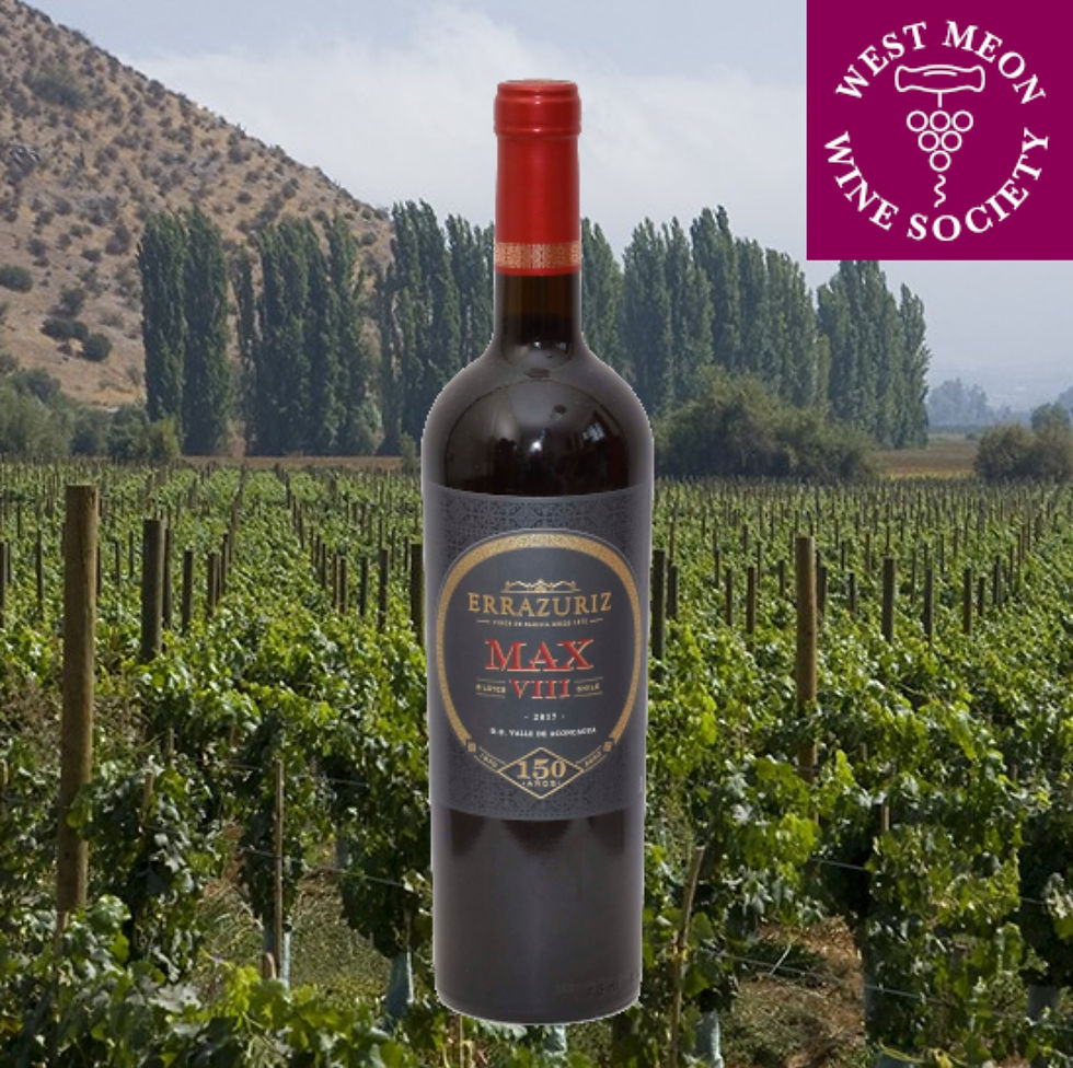 Errazuriz MAX VIII, 2018, 14%