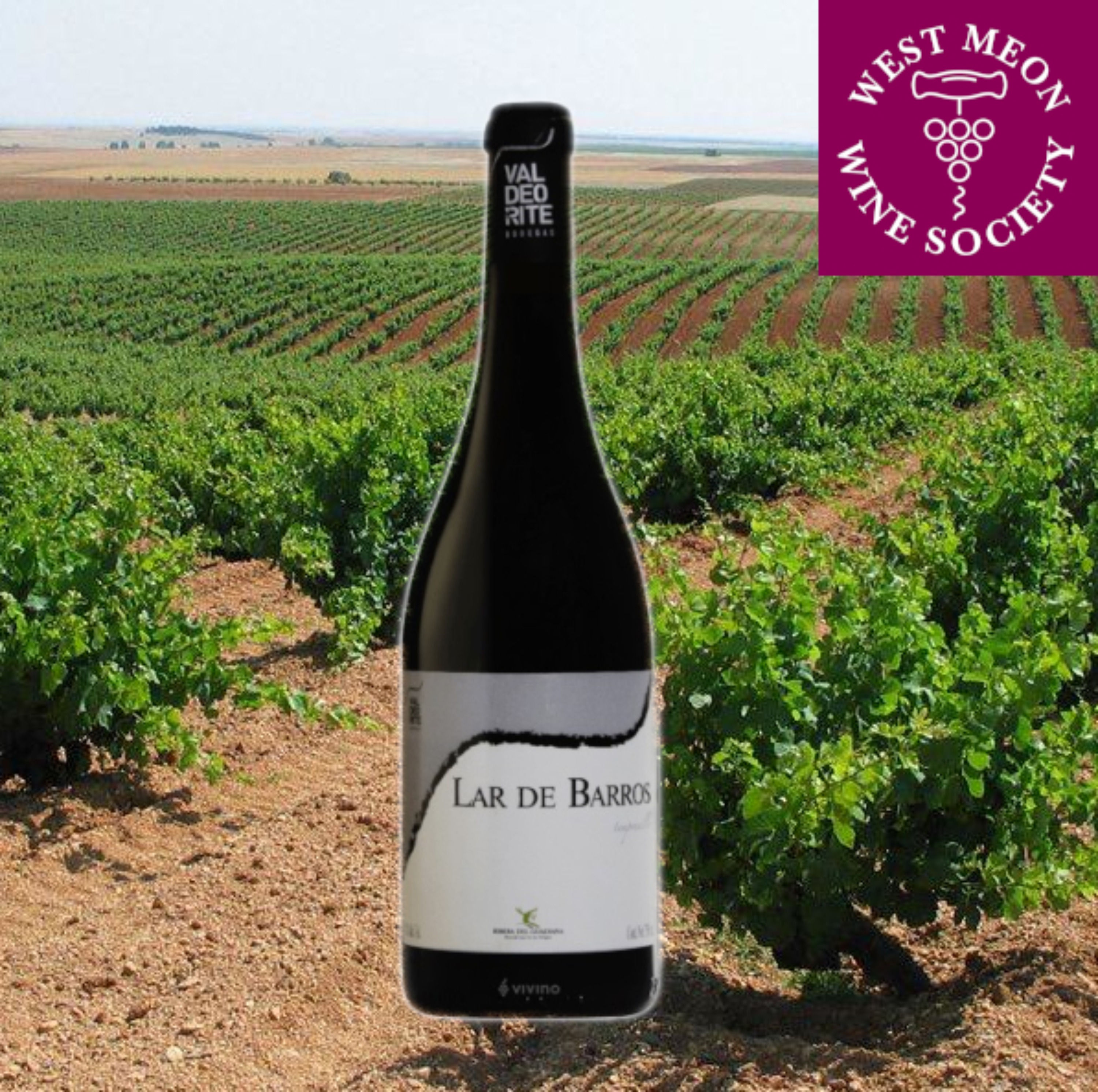 Valdeorite Lar de Barros Tempranillo, Ribera del Guadiana, 2015, 14%