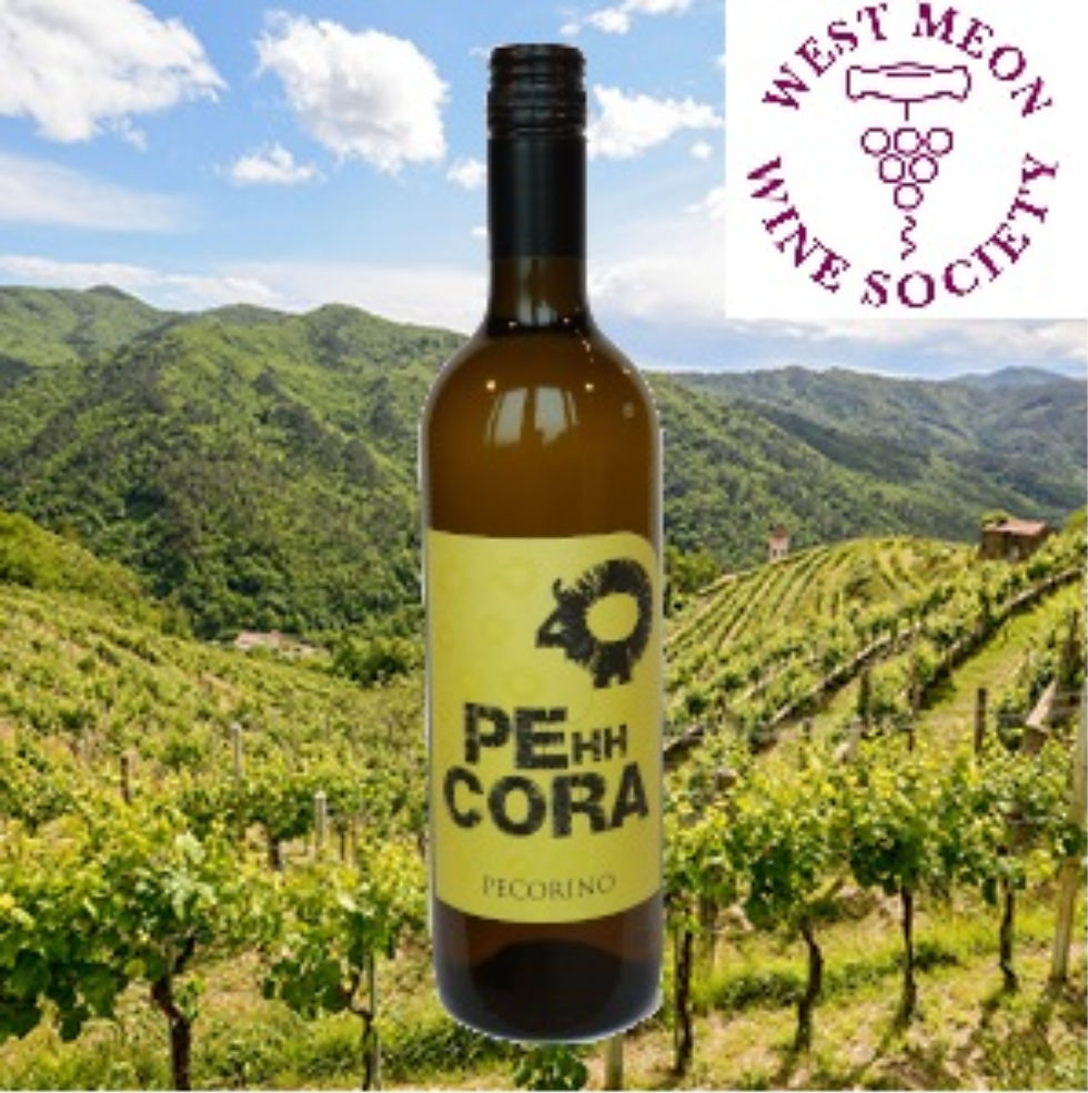 Pehhcora Pecorino Terre Di Chiete IGP 2021
