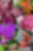 BASE_FUNDO6.png