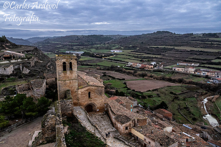 Carles_1251924 copia 2.jpg