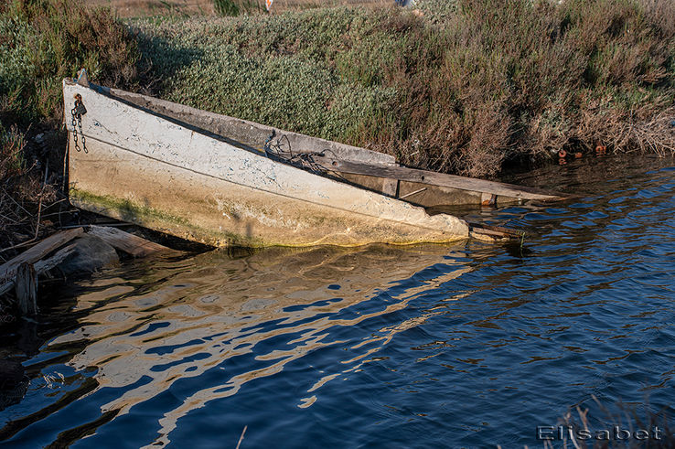 Elisabet_DSC4786 copia.jpg