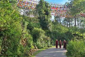 נוף עוצר נשימה