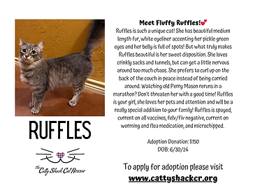 Copy of Ruffles.png