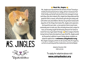 MS. JINGLES.png