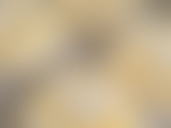 Lemon Crinkle Cookies.