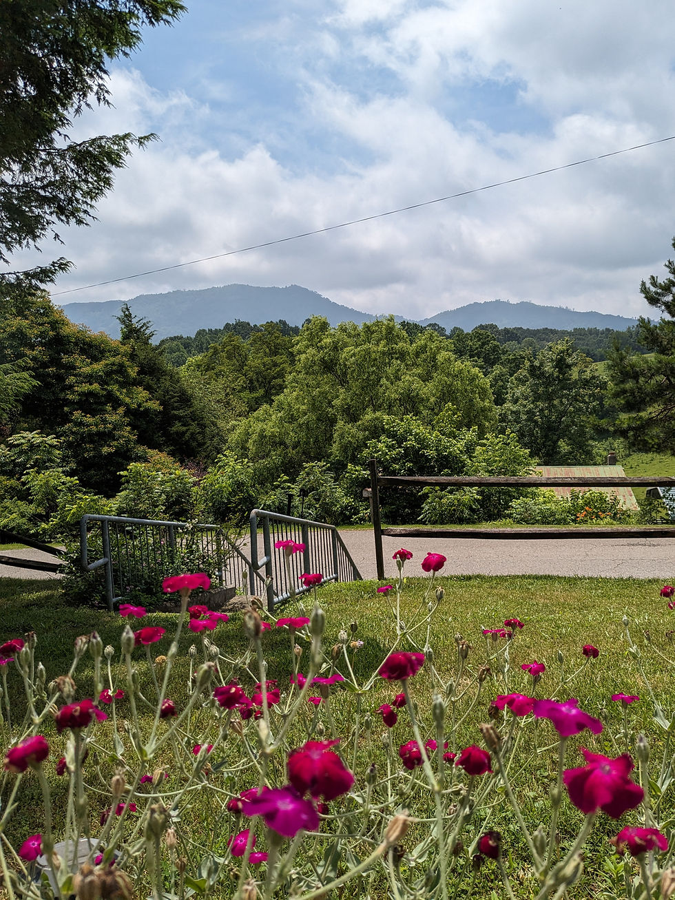 Lee County Vacation Rental, Pennington Gap, Virginia 24277