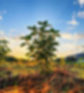 20210901_edited.jpg