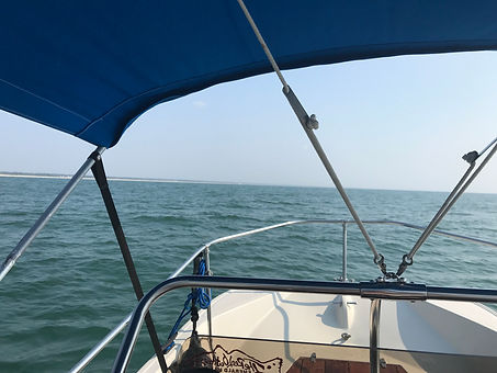 IMG_3730.jpeg