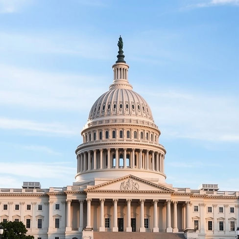 Picture of US capitol with blue tint.jpg