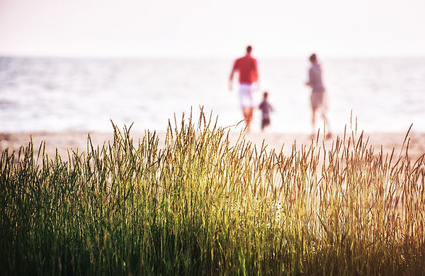 Family in the distance on the beach
