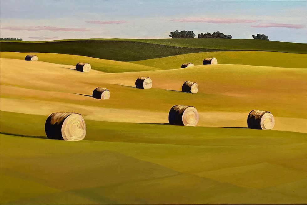 Bale Field; Second Cutting