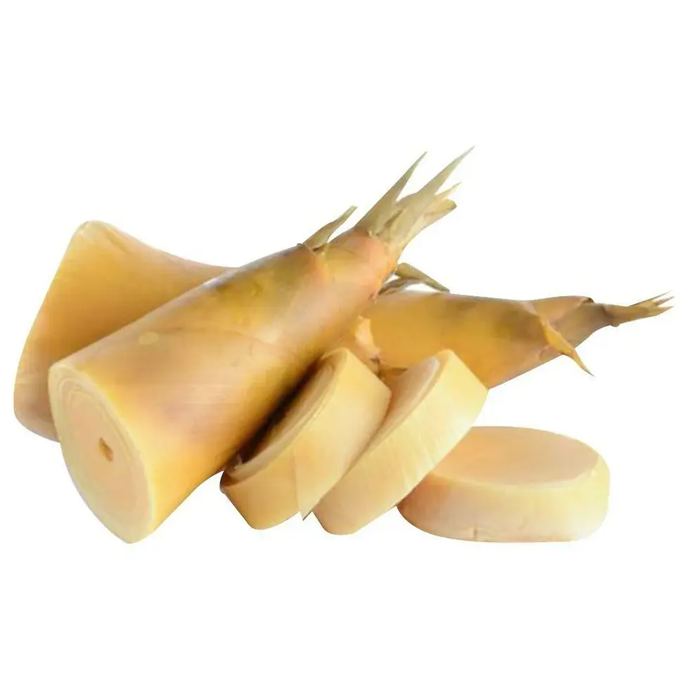 Fresh Bamboo Shoots