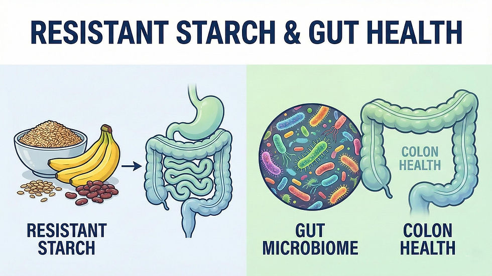 Resistant starch and gut health