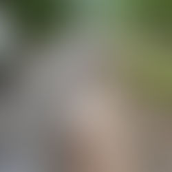 Newton County Precinct 4 Commissioner - Danger Alert