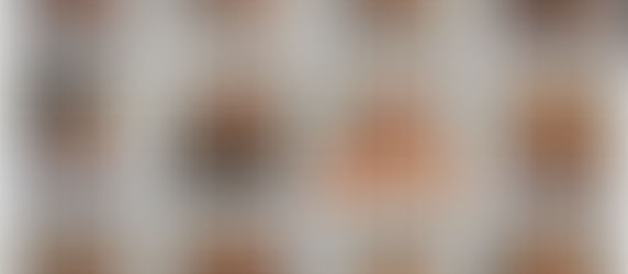 Operation Pitbull - Mugshots