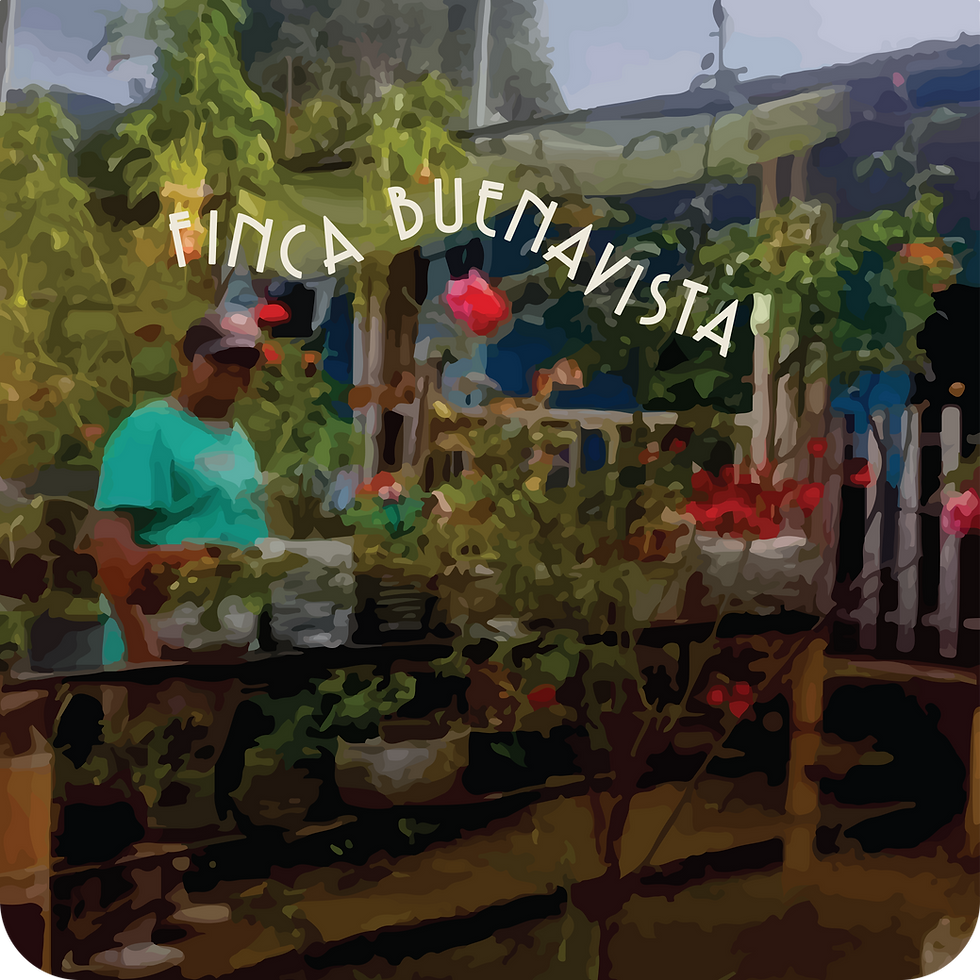 Finca Buenavista | Colombia