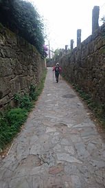 DSC_0589_1.jpeg