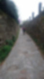 DSC_0589_1.jpeg