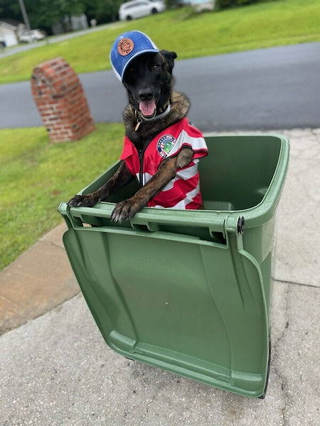 eco-friendly helper with amazing customer service