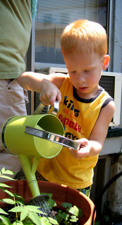 P12.jpg