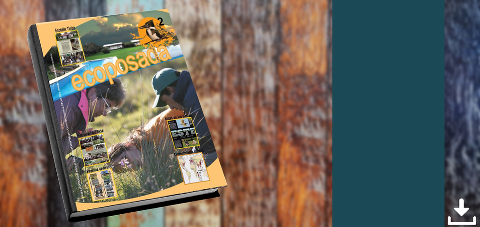 Crema y Rosa Maquillista Profesional Estilista Porfolio Sitio Web (10).png