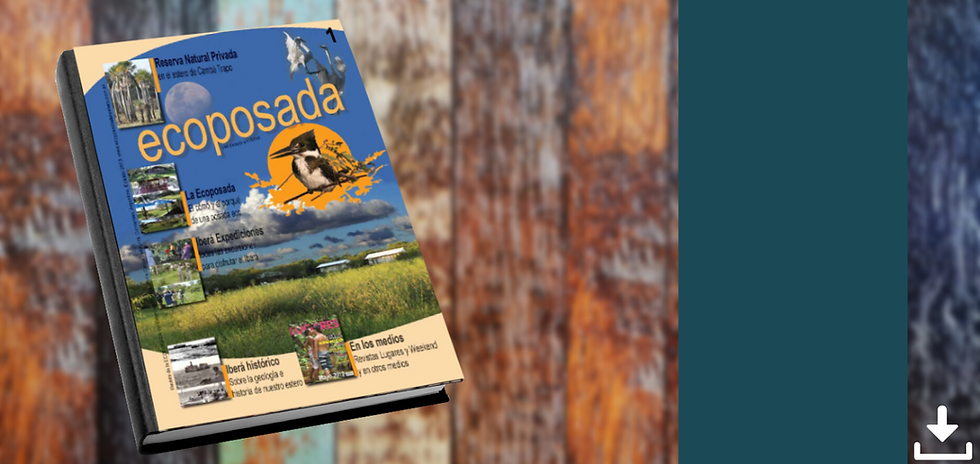 Crema y Rosa Maquillista Profesional Estilista Porfolio Sitio Web (9).png