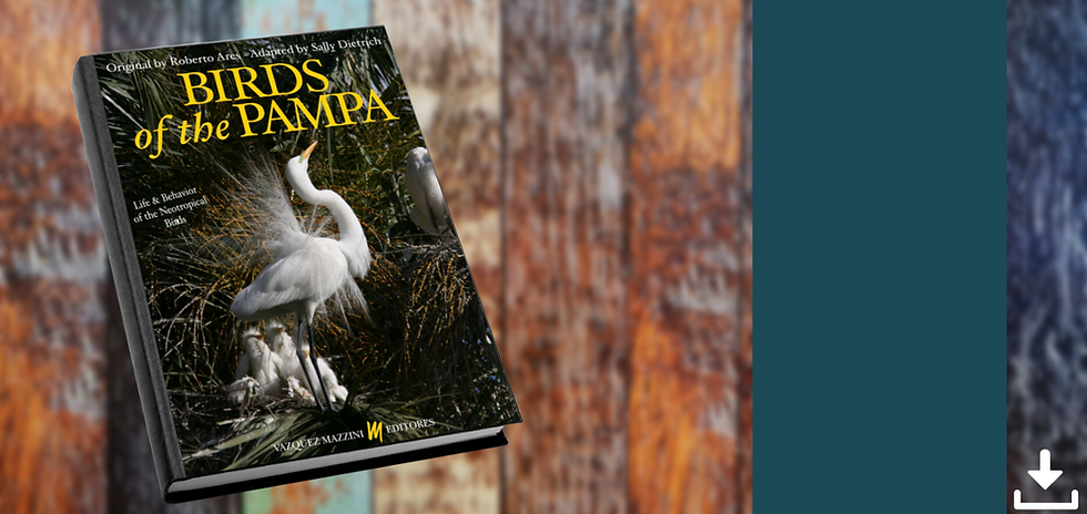 Crema y Rosa Maquillista Profesional Estilista Porfolio Sitio Web (7).png