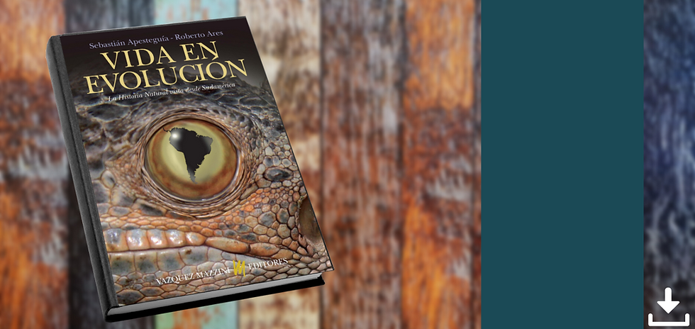 Crema y Rosa Maquillista Profesional Estilista Porfolio Sitio Web (6).png