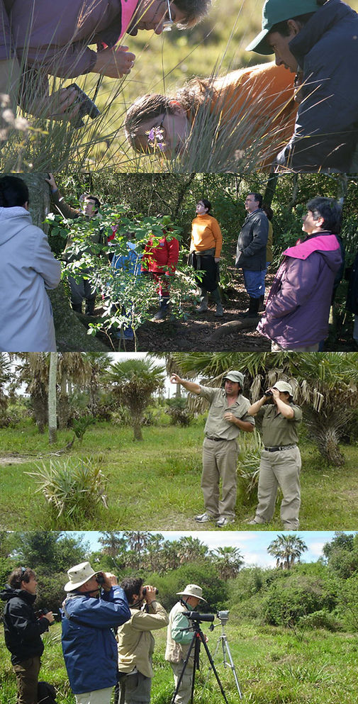 3-expediciones-03.jpg