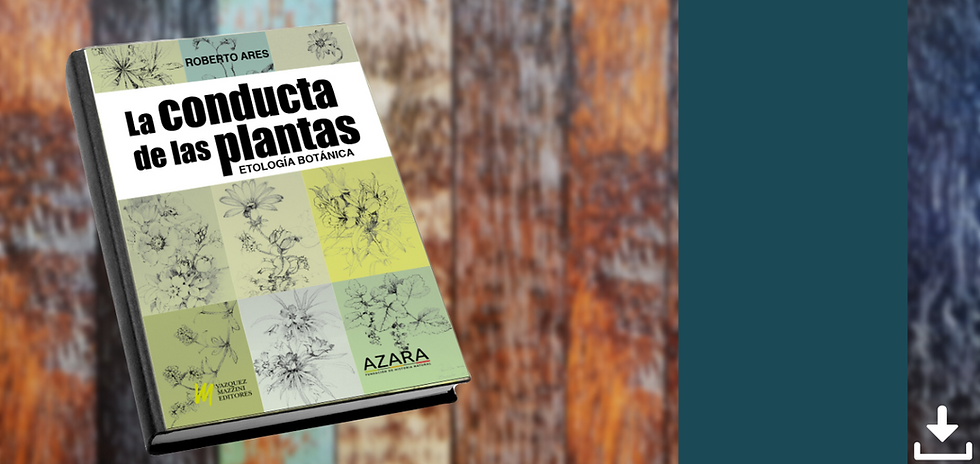 Crema y Rosa Maquillista Profesional Estilista Porfolio Sitio Web (8).png