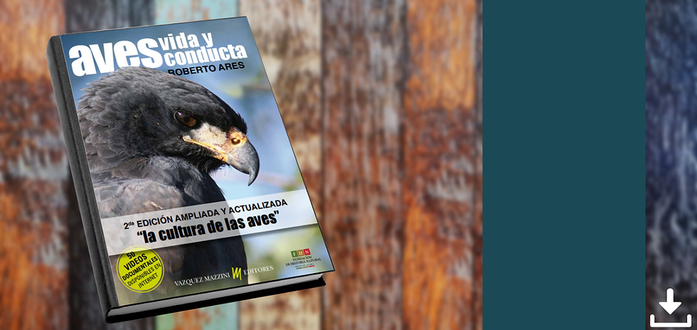 Crema y Rosa Maquillista Profesional Estilista Porfolio Sitio Web (5).png