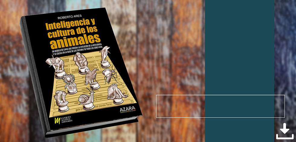 Crema y Rosa Maquillista Profesional Estilista Porfolio Sitio Web (4).png