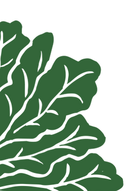 Kale