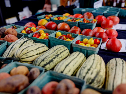 Regional collaborative gets $479K federal grant to expand free produce program in push to improve health outcomes