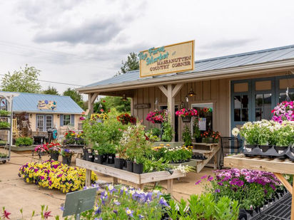 Virginia Food Access Coalition