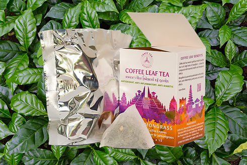 Eco-Friendly Packaging.jpg