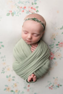 Ashley Allen Newborn Photographer Duluth Minnesota 