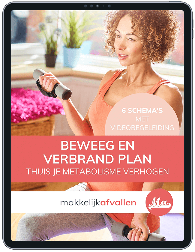 Cover Beweegplan e-book – Makkelijk Afvallen