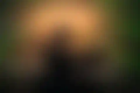 344428978_107149355698948_8280925309540049401_n